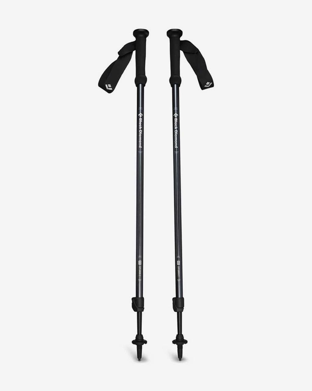 Bâtons Black Diamond Explorer 2 noir (paire)