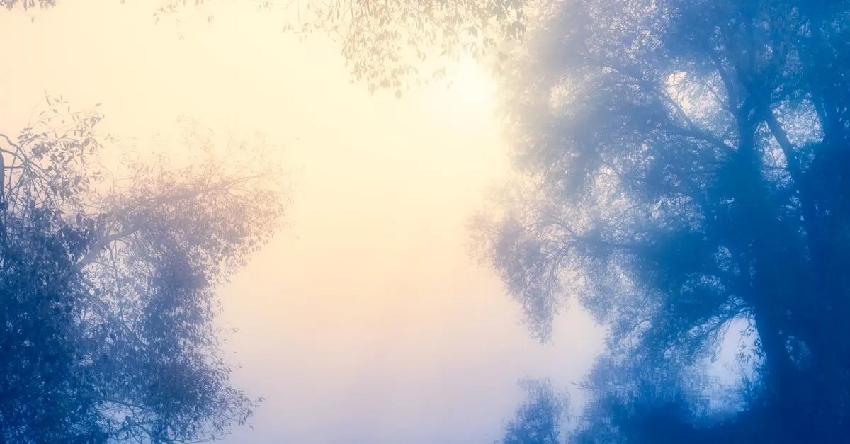 Comment les pauses méditatives améliorent votre bien-être mental