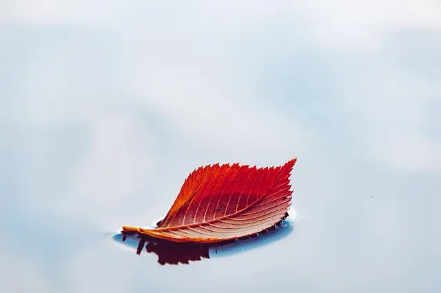 Comment choisir la meilleure technique de pause méditative