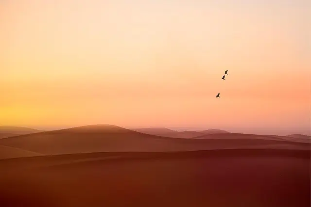 Comment intégrer les pauses méditatives dans votre routine
