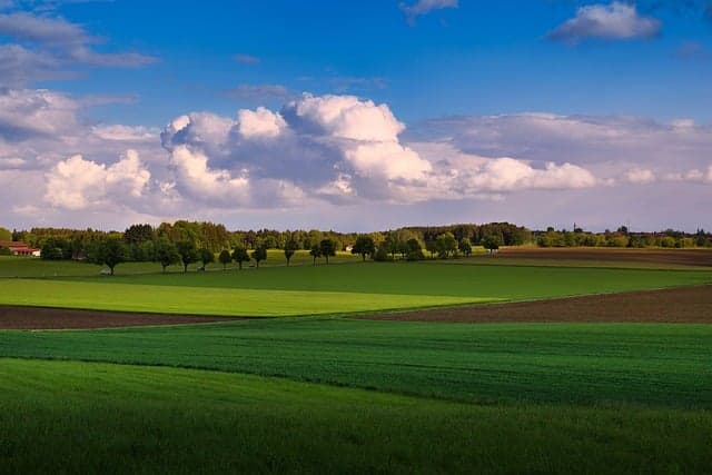 Comment créer des pauses méditatives en pleine nature
