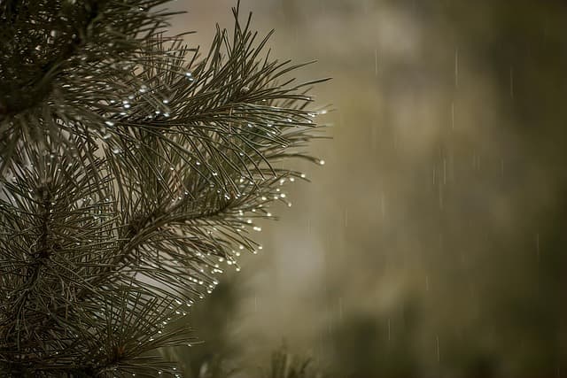 Les meilleures techniques pour des pauses méditatives efficaces