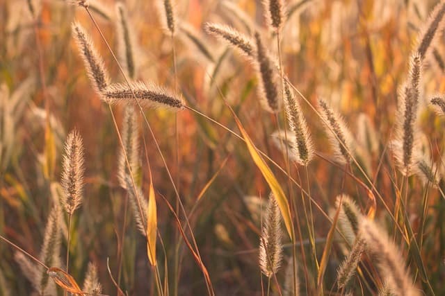 Comment les pauses méditatives améliorent votre humeur