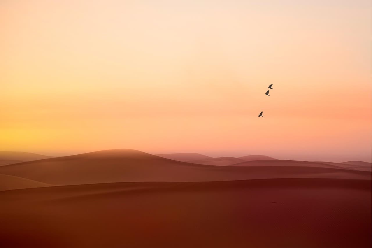 Comment les pauses méditatives favorisent votre bien-être mental